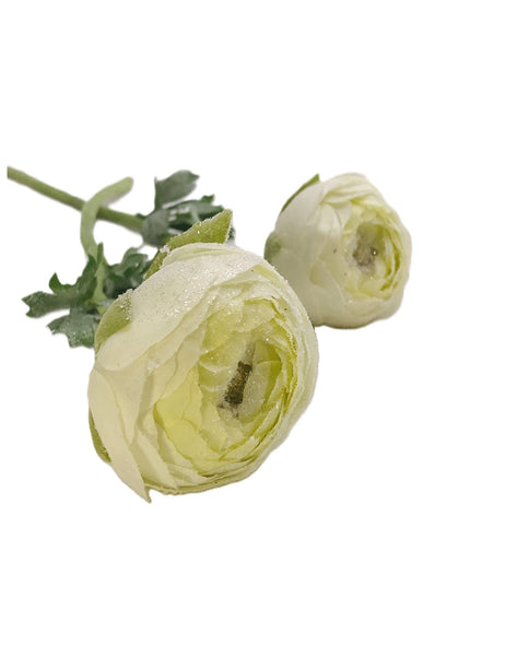 Ranunculus Stem 20" - White