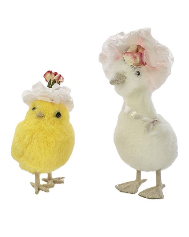 Feathered Friends