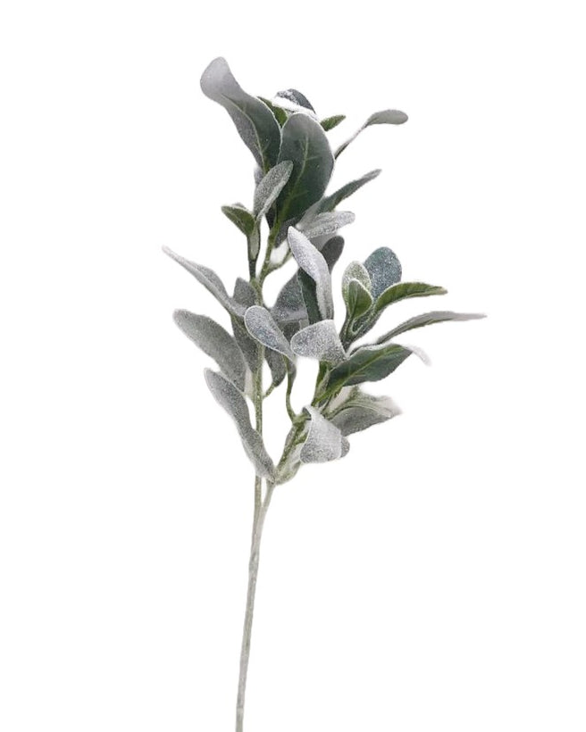 Everyday Botanicals