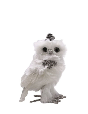 Small Owl with Crown