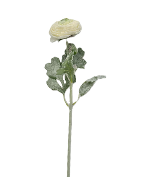 Ranunculus Stem - White