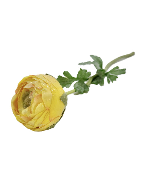 Ranunculus Stem - Yellow