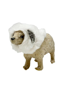 Polar Bear - Eggshell Fur