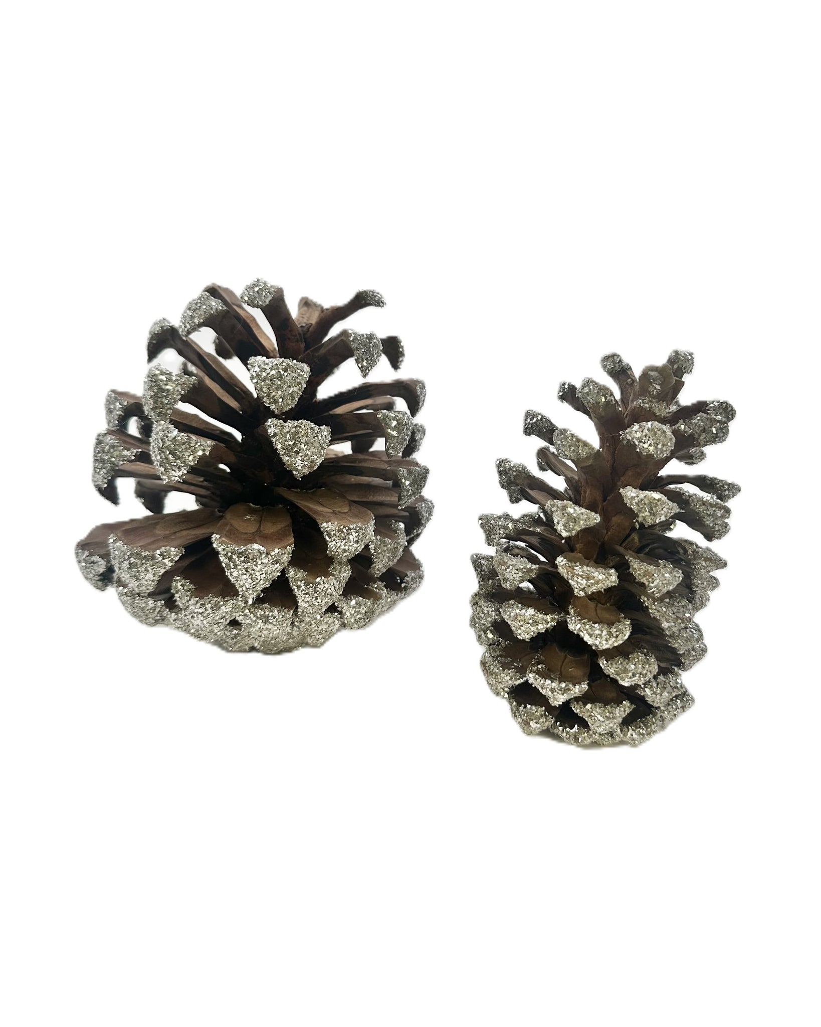 Pinecones, - Small, Silver