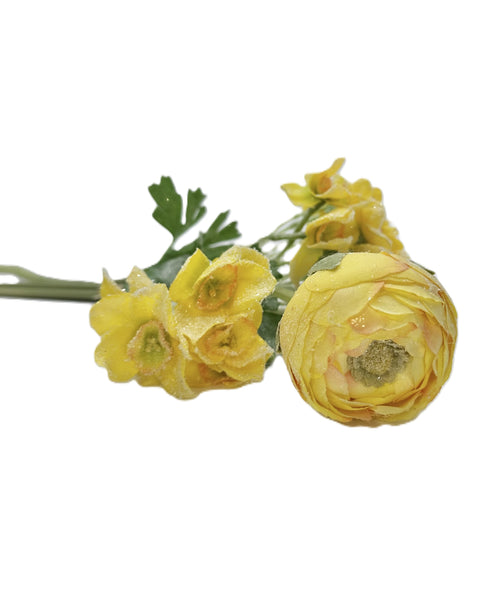 Ranunculus Stem - Yellow