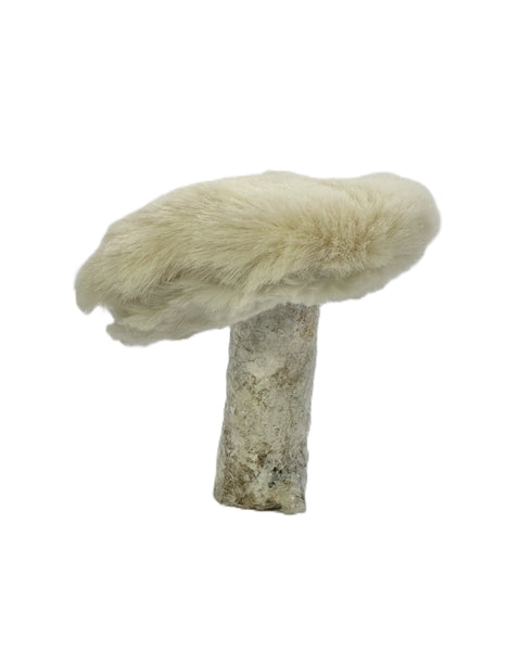 Mushroom with Birch Base - Small, Mushroom Fur
