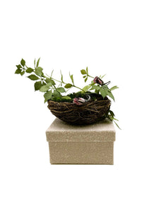 Nest Square Box with Greens - Pink